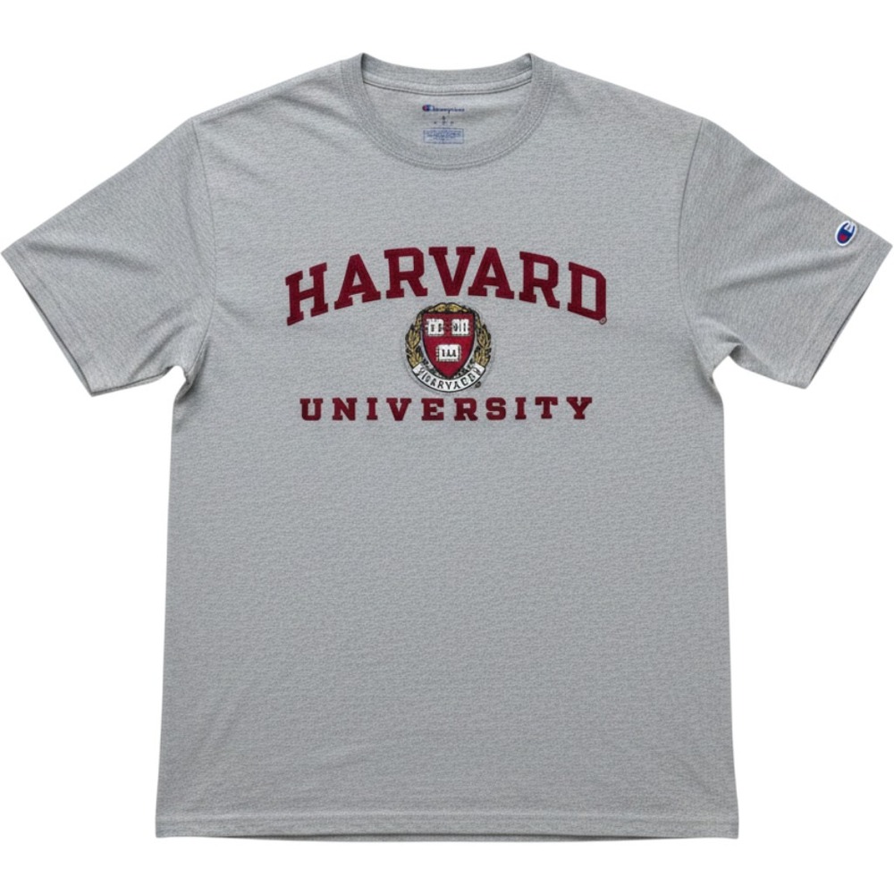 Champion Harvard University T-Shirt Mens Medium Gray Short Sleeve Ivy League Tee